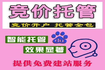 网络推广竞价策略解析与应用案例